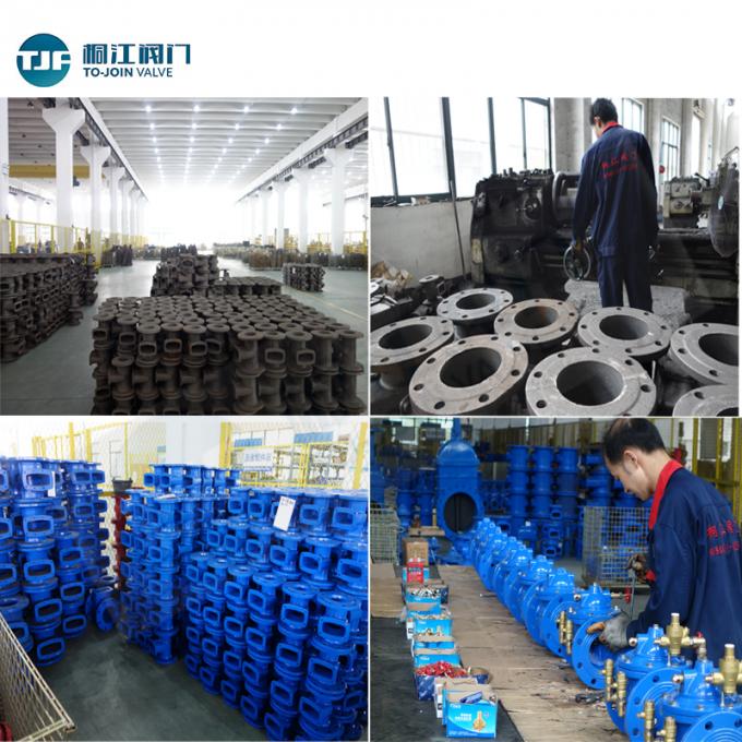 Zhejiang TongJiang Holdings Company Fabrik Produktionslinie 0