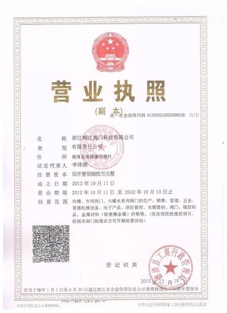 Zhejiang TongJiang Holdings Company